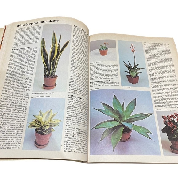 Vintage Indoor Gardener The Complete Book 1974 Ed by Michael Wright 256 Pages - Picture 5 of 8